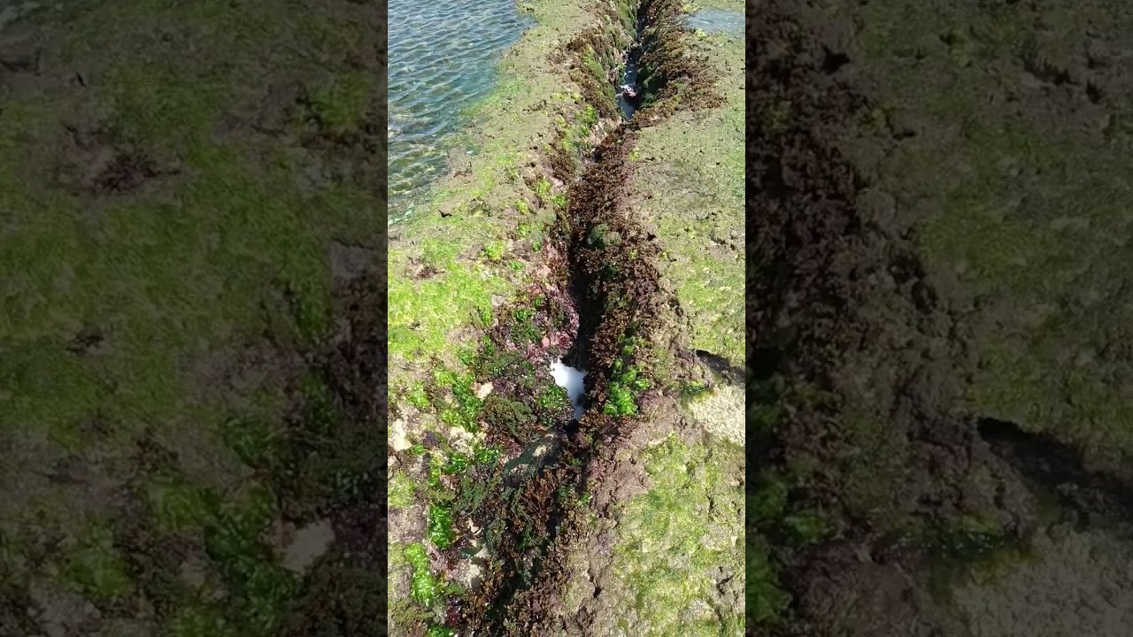 We call it "Breathing mini pool" 🤩🤩 