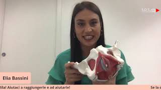 Elia Bassini-2
