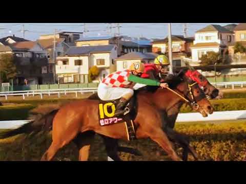 #浦和競馬場 🌸桜花賞🌸プラウドフレール号🐴🩷1500m逃げ重賞3連勝強い💪🏆💐㊗️　#張田昂 #第71回桜花賞　#s1 #プラウドフレール　🐴🩷　#おめでとう 🎉💐　#3連単 7-1-11#万馬券