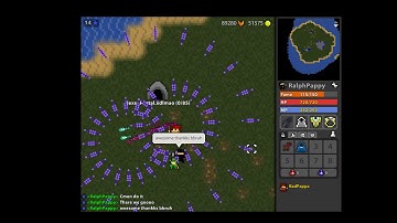 Hacker in RotMG Private server