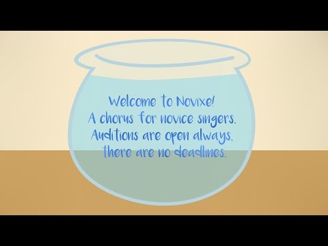 Novixe Introduction - Auditions Open