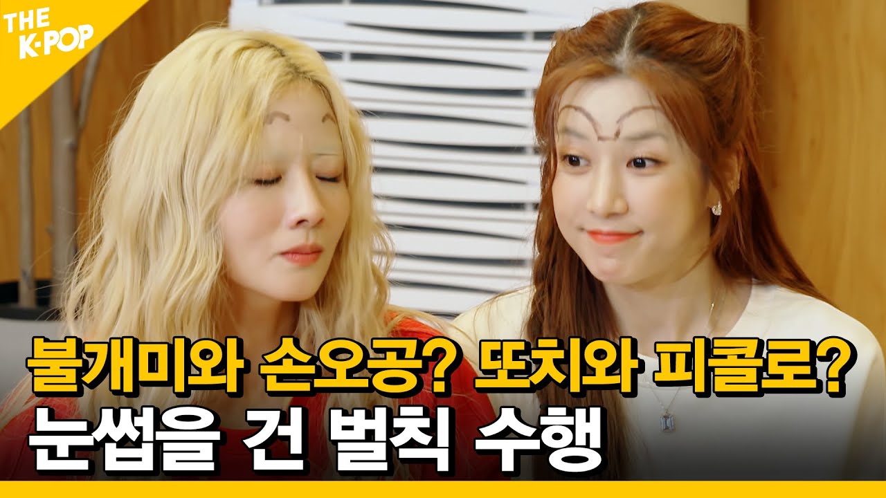 불개미와 손오공? 또치와 피콜로? 눈썹을 건 벌칙 수행 에이핑케이션ㅣApinkation