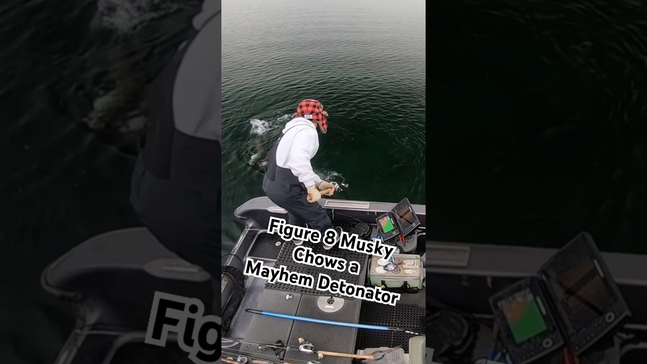 Clear Water Perfect Figure 8 Musky 