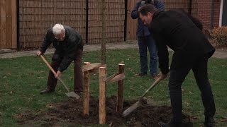 Nieuwe Boom Geplant Klein Driene