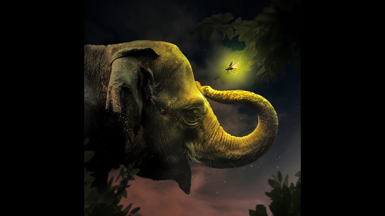 Elephant Manipulation in Photoshop