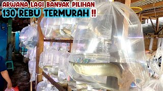 ARWANA LAGI BANYAK PILIHAN 130 REBU TERMURAH‼️UPDATE HARGA ARWANA & TANKMATE || PASAR PARUNG‼️