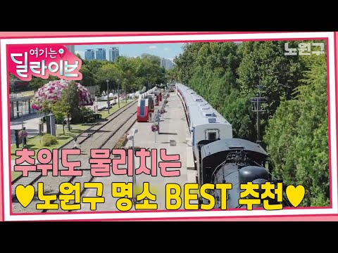 따뜻한 추억 여행 떠나자❗ 노원구 BEST 관광 명소 모음ㅣ도깨비시장ㅣ경춘선숲길ㅣ화랑대 철도공원ㅣ타임뮤지엄ㅣ우리동네가찐이야ㅣ여기는딜라이브(21122방송)