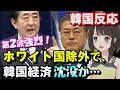 【韓国の反応】ホワイト国除外を韓国が恐れる真の理由と、日本の措置が経済制裁ではない理由を簡単に説明！これからどうなる？