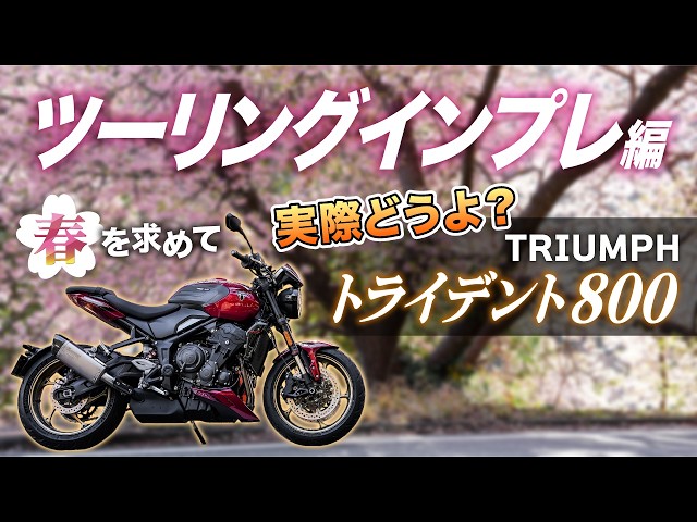 Test Ride] Spring Touring Izu and Kawazu on a Trident 800