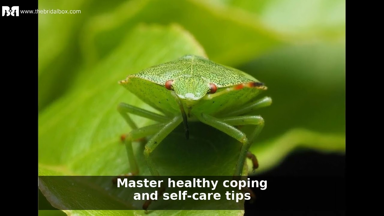 Ultimate Guide to Online Breakup Counseling & Healing