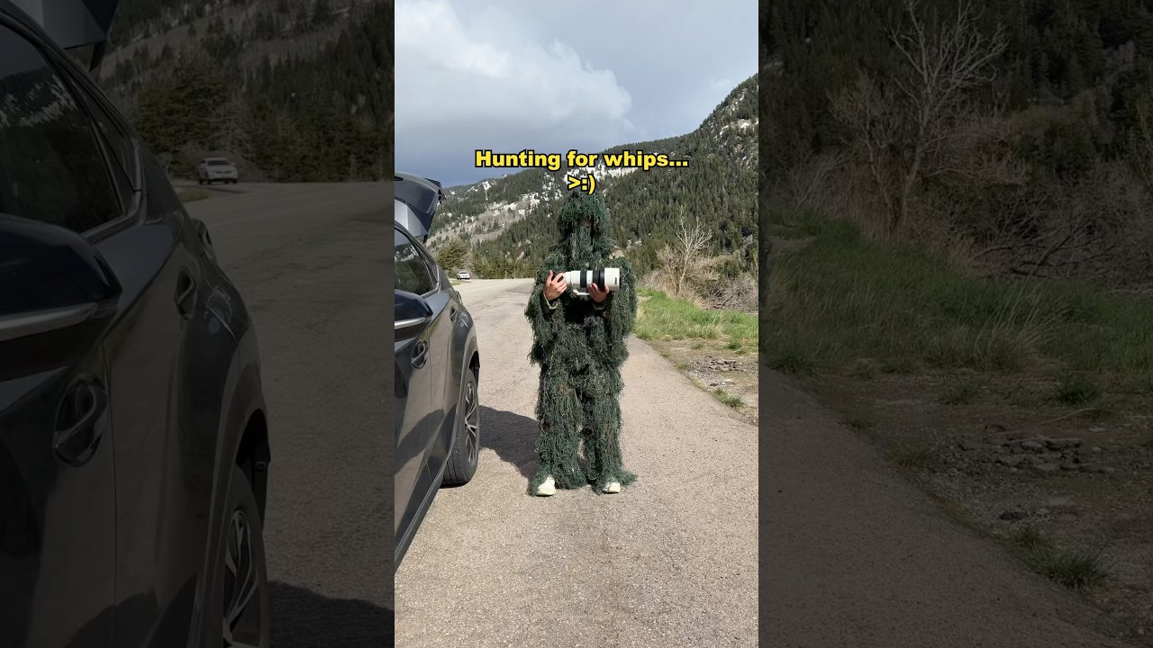 Hunting for cars on the TOUGE ⛰️🚗