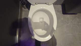 Generic 2010s Valley toilet
(I DO NOT OWN THE MUSIC IN THE BACKGROUND)
Filmed by Vancity Elevators.
This toilet was filmed at Big Way Hot Pot (Kingsway) in Burnaby, BC, Canada. This toilet is very generic. Rating: 3/ 10. Generic 2010s Valley toilet