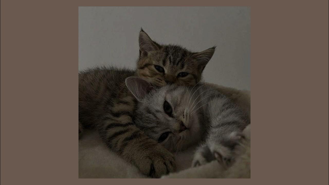 Я искал в этой женщине счастья есенин. Перепутанные взгляды наши ничего я не хочу. Долгие семейные отношения. Перепутанные 2020. Перепутанные взгляды наши ничего я не хочу.