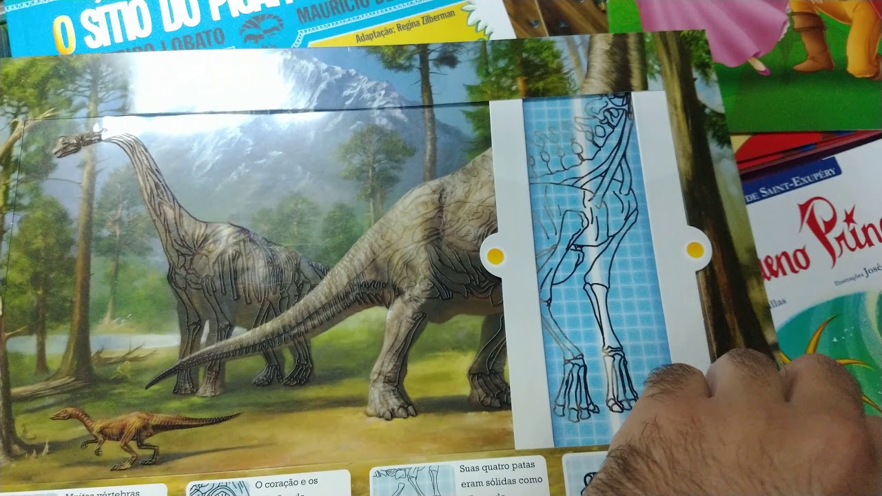 Dinossauros Ao Raio Dinossauros Ao Raio X