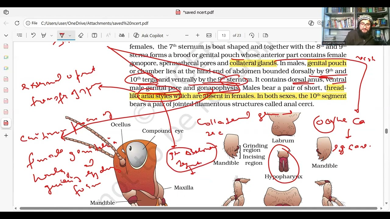Structural organisation of animals lec no.  9 ..NCERT Biology Line by Line for NEET Concept Mastery!
