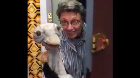 Dr. Donna Valenti: Teaching  wh-questions: "Who is behind the door?" functionally