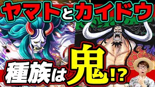 ヤマトとカイドウの種族は鬼族 古代巨人族の血を引いている可能性は ジャンプ最新話1025話ネタバレ注意 ワンピース 考察 Youtube