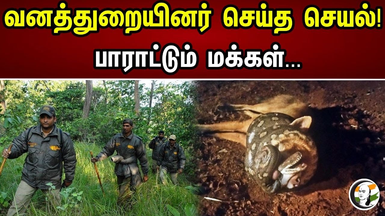 வனத்துறையினர் செய்த செயல் | Snake | Fox | Forest Department | Chanakyaa News