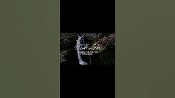 لمن الملك اليوم محمد اللحيدان سورة غافر #اكسبلور #المصحف #حالات_واتس