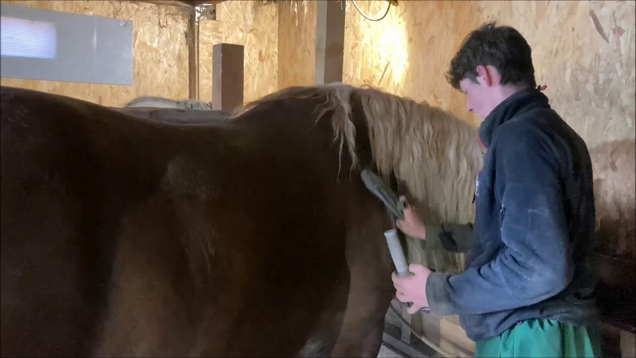 Môj život na gazdovstve 2 - video od Martina Kalmana