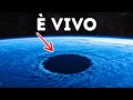 I biologi marini hanno appena scoperto qualcosa di veramente incredibile