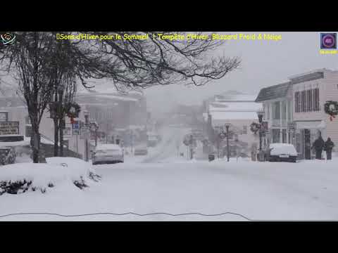 ❄️ Sons d’Hiver pour le Sommeil 🌨️ | Tempête d’Hiver, Blizzard Froid & Neige