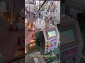 Organic black tea flat bag packaging machine, herbal tea biodegradable tea bag packaging machine