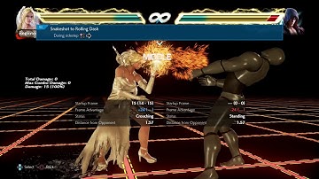 Nina movelist with frame data