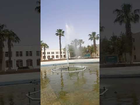 جامعة مؤتة