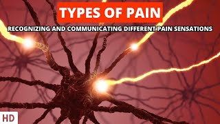 From Aching to Burning: Decoding the Diverse Types of Pain