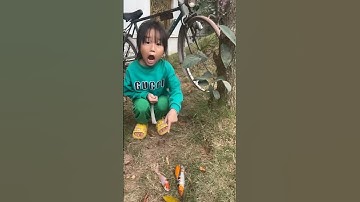 Sáng sớm lạnh buốt bé chip đi giải cứu chú cá mắc cạn.cảm ơn cô bé tốt bụng #shorts