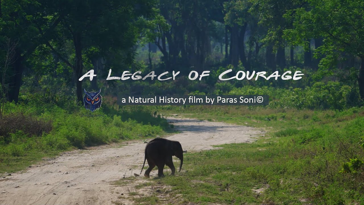 A Legacy of Courage - A natural history film