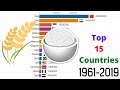 Top Rice Producing Countries (1961-2019) (Tonnes)