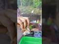 The best way  to plant low root plants 😍❤️