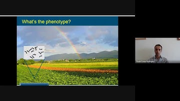 Paulo Canas (UFBA). Statistical challenges in genotype by environment interactions and QTL. 07/10/20