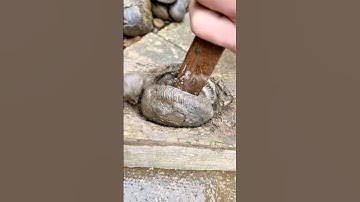 Clean Crack to Open Fossil!
