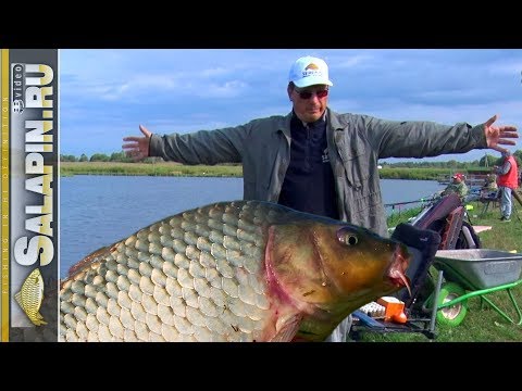 Ловля карпа на фидер. Краткое содержание ;) [salapinru]