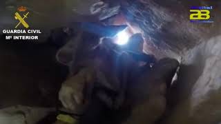 La Guardia Civil localiza y rescata a un perro perdido el día de antes en el interior de una cueva