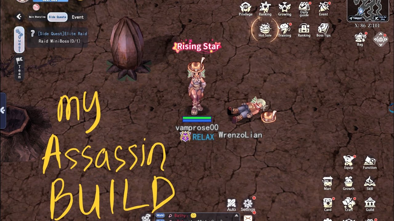 My Assassin Skill Build Lv 43 - The Ragnarok - YouTube