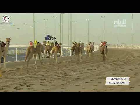 الشوط 5 وشل ل مبارك سهيل بن علي الظاهري 9 12 14 مهرجان سمو أمير قطر 2022 3 23 ايذاع الشحانية