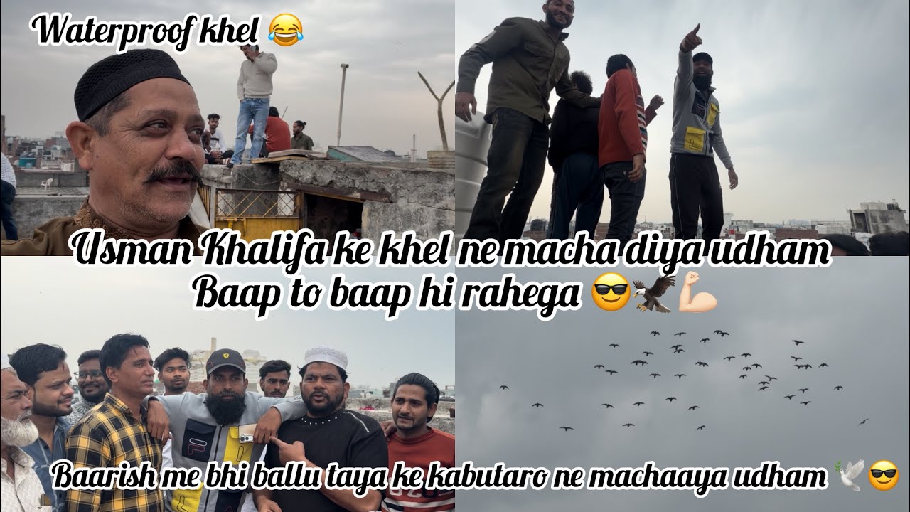Usmankhalifa ke khel ne macha diya udham 🕊️baap to baap hi rahega 🦅baarish me bhi kabutar raha gayab