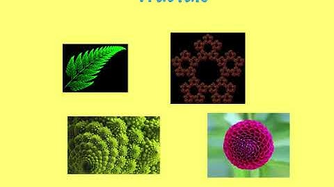 Logarithmic spiral - full video