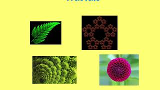 Logarithmic spiral - full video