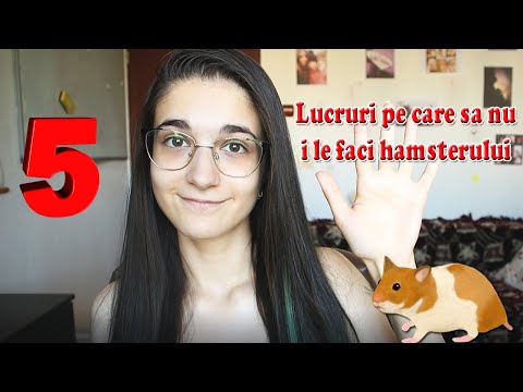 Video: Cum să creați Canarii: 10 pași (cu imagini)