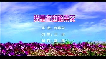 我是你的格桑花-欣宝儿-主唱 KARAOKE