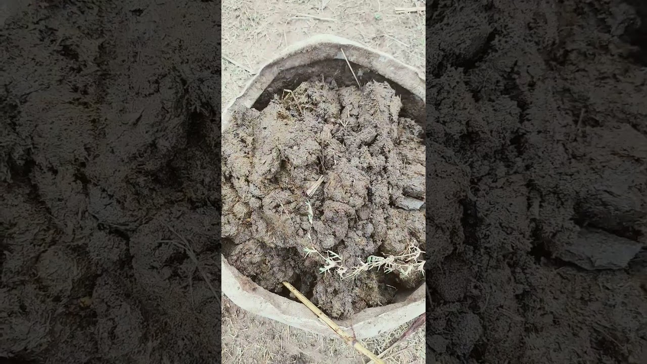 watch till end🤣 Caption Miller climax💥