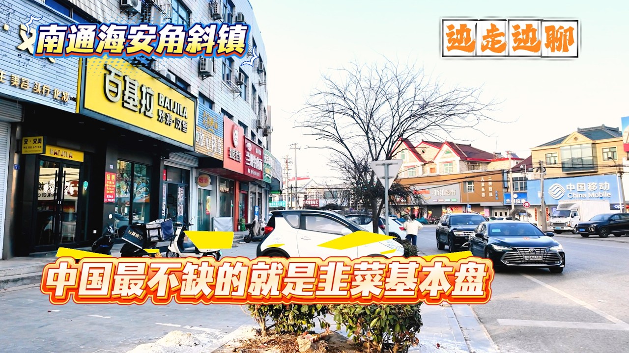 4K | 中国最不缺的就是韭菜基本盘 | 吃饭聊天一人和十几人辩论 | 南通海安角斜 | 边走边聊 | NANTONG