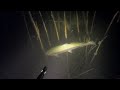 Подводная Охота на Форель. Подводная охота 2021 новинки. Подводная Охота - Трофей