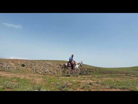 منطقه دمزنون پای قله الیمستان یا قله امامزاده قاسم هست این مرد گویش محلی دارد زبان مادری هویت منست