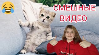 Самые СМЕШНЫЕ и УДИВИТЕЛЬНЫЕ ВИДЕО с ЖИВОТНЫМИ 2023😂 Смешные ВИДЕО до СЛЁЗ😂👍